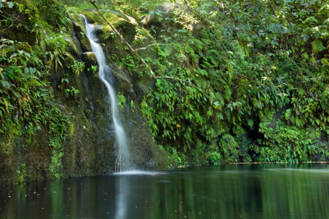 Michael Fuchs 042912