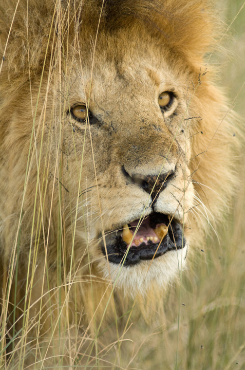 Michael Fuchs 102812 (5)