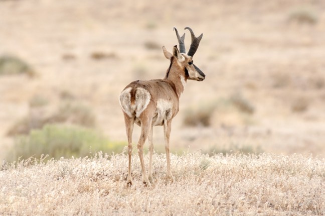 Michael Fuchs 080215 (2)