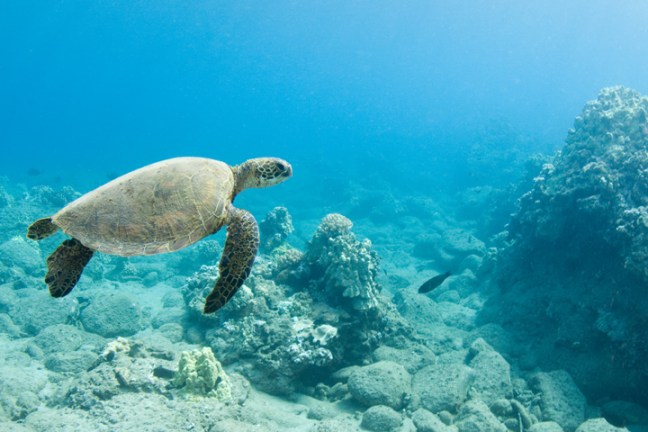 Michael Fuchs 080215 (4)