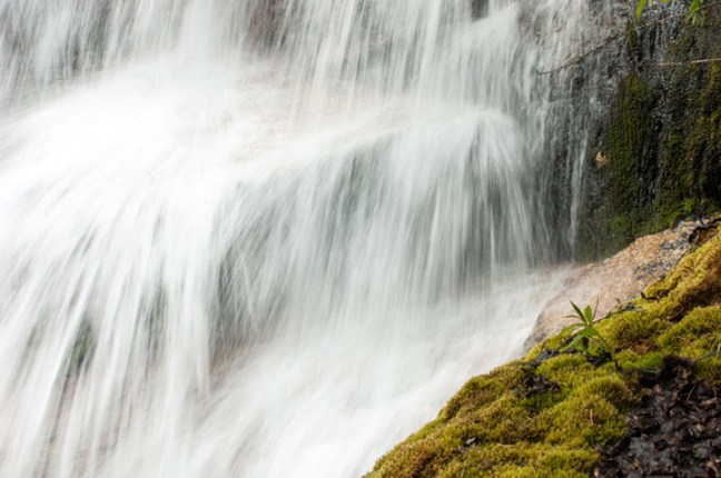 Michael Fuchs 080915 (2)