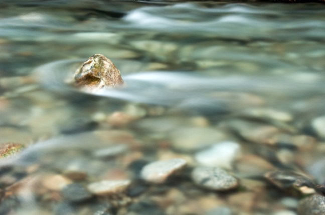 Michael Fuchs 080915 (4)