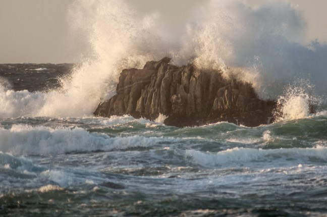 Michael Fuchs 080915 (5)