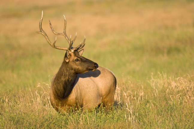 Michael Fuchs 010415 (1)