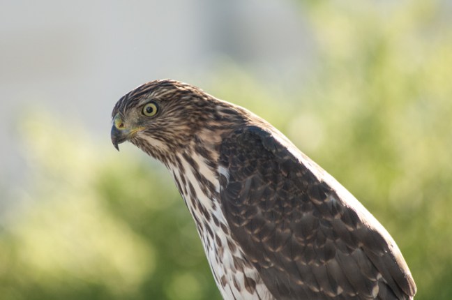 Michael Fuchs 010415 (5)