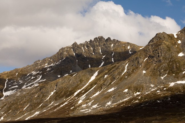 Michael Fuchs 010613 (1)