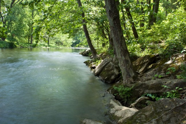 Michael Fuchs 010613 (2)