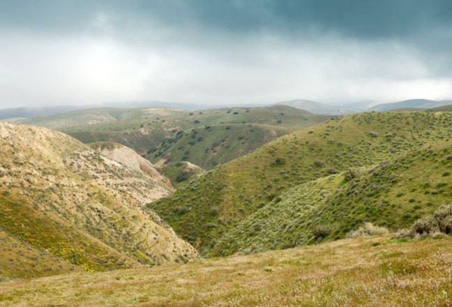 Michael Fuchs 010613 (5)