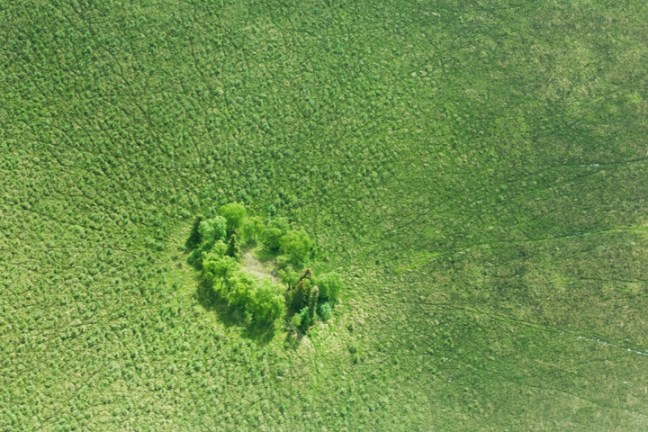 Michael Fuchs 011214 (5)