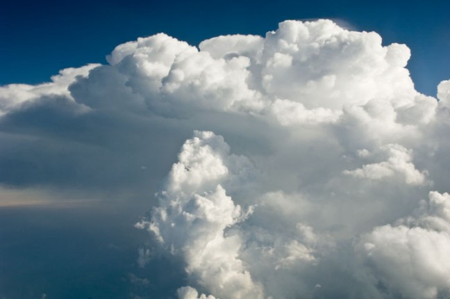 Michael Fuchs 011313 (3)