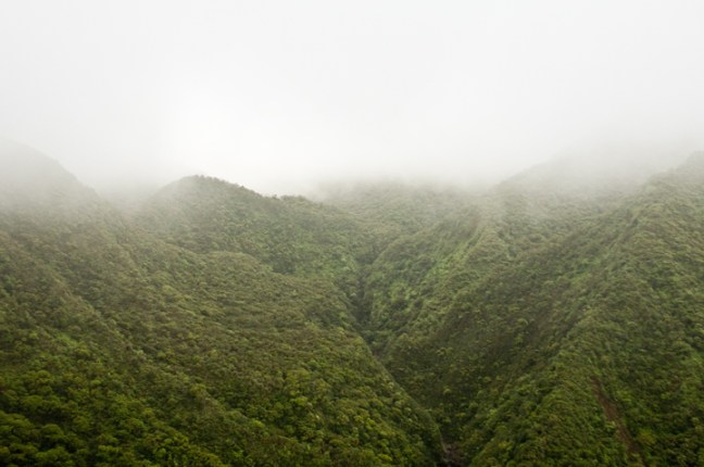 Michael Fuchs 011313 (4)