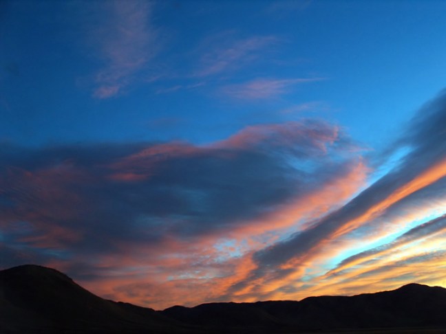 Michael Fuchs 011313 (5)