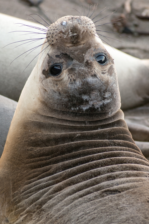 Michael Fuchs 011914 (1)