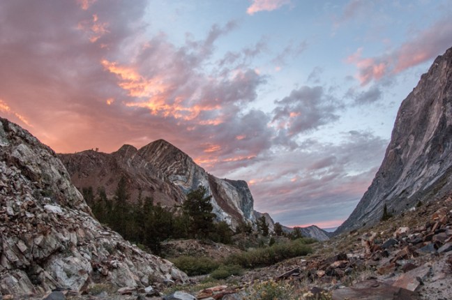 Michael Fuchs 012515 (1)