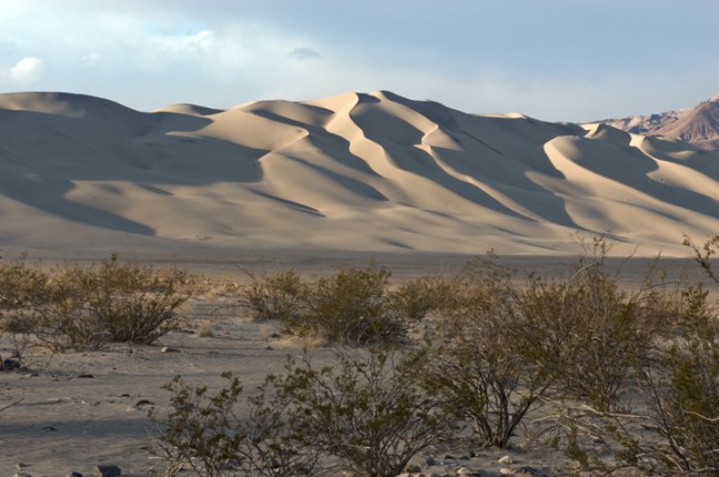 Michael Fuchs 012515 (3)