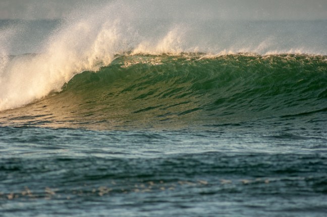 Michael Fuchs 020115 (1)