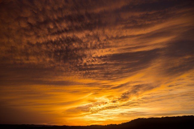 Michael Fuchs 020214 (1)