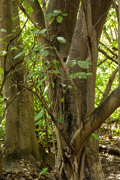 Michael Fuchs 020214 (5)