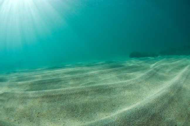 Michael Fuchs 020313 (1)