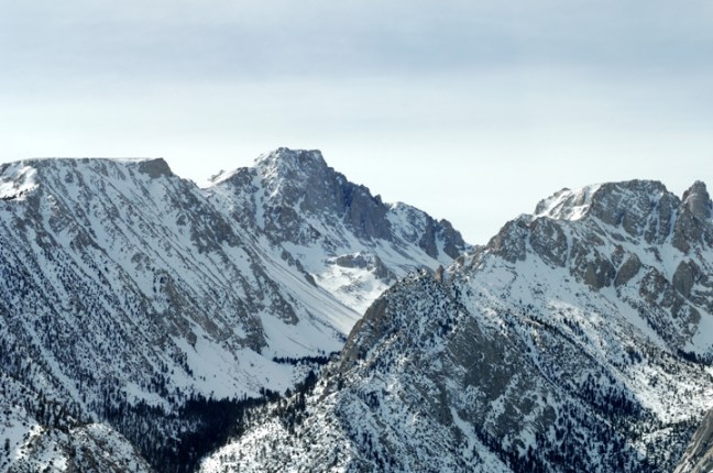 Michael Fuchs 021713 (4)