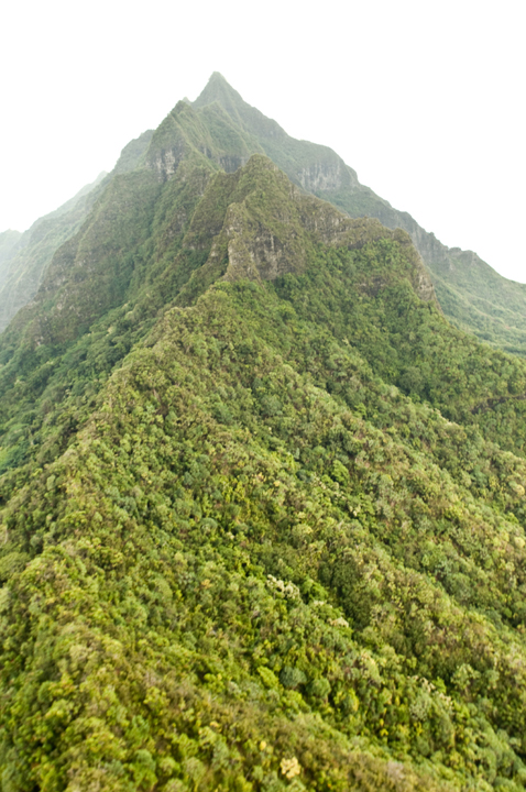 Michael Fuchs 022314 (2)