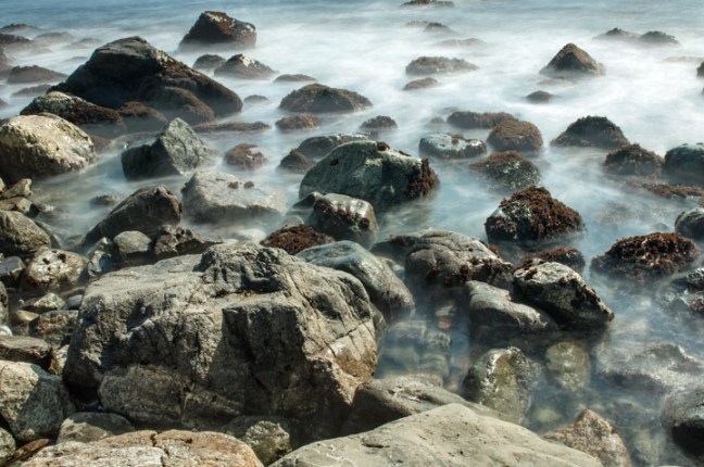 Michael Fuchs 022314 (5)