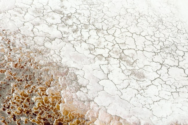 Michael Fuchs 022413 (1)