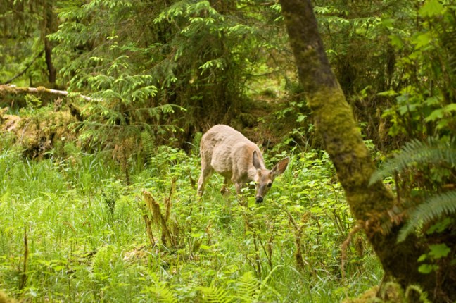 Michael Fuchs 030214 (4)