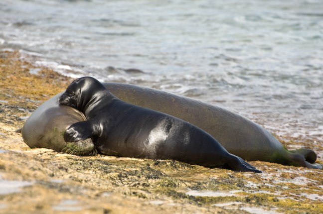 Michael Fuchs 030313 (5)