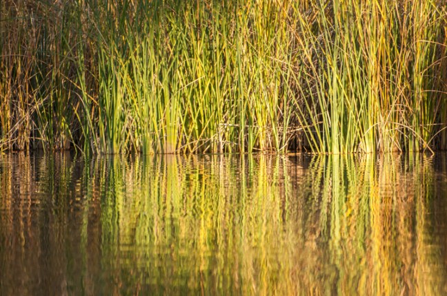 Michael Fuchs 030815 (4)