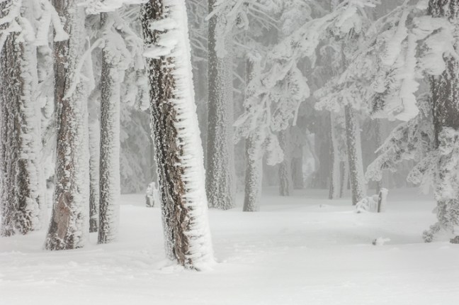 Michael Fuchs 030815 (5)