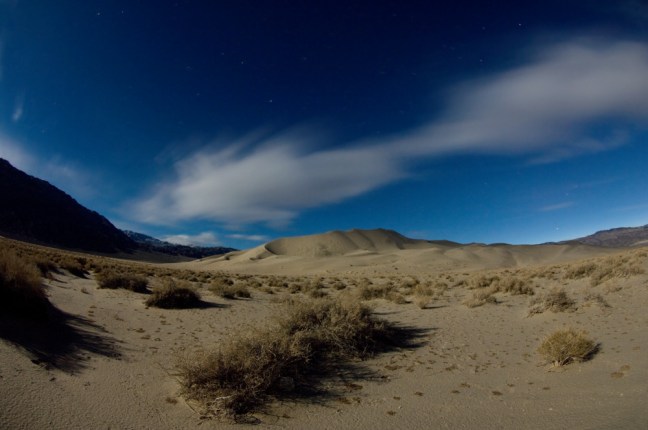 Michael Fuchs 031013