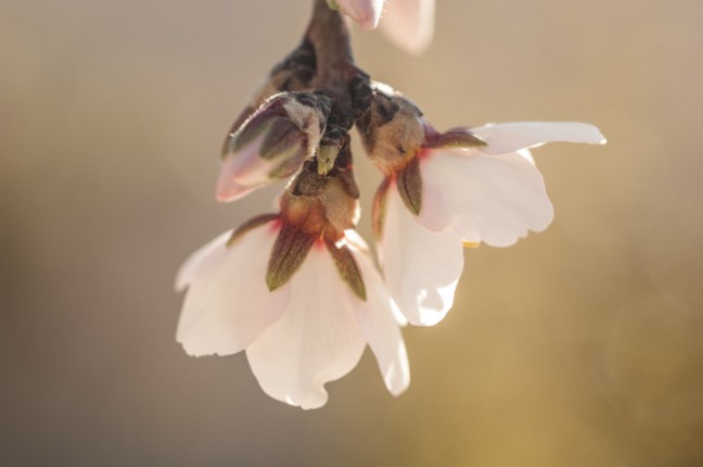 Michael Fuchs 031115 (1)