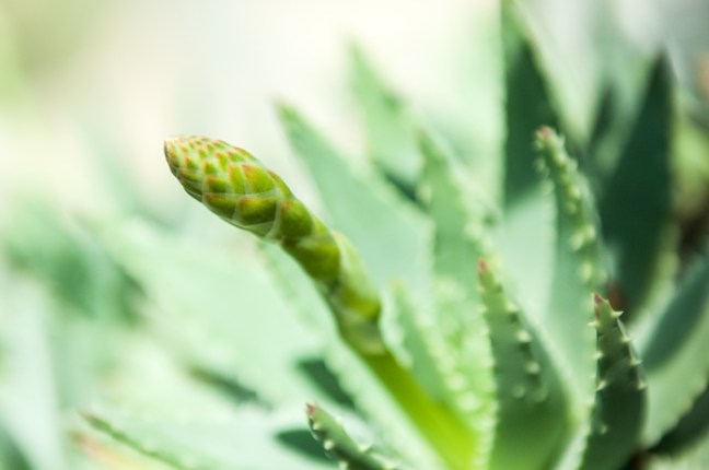 Michael Fuchs 031115 (2)