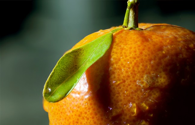 Michael Fuchs 031115 (5)