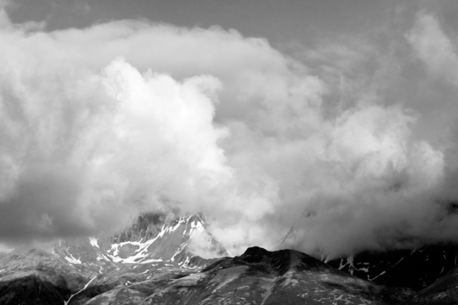 Michael Fuchs 031515 (4)