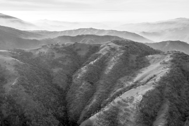 Michael Fuchs 031515 (5)