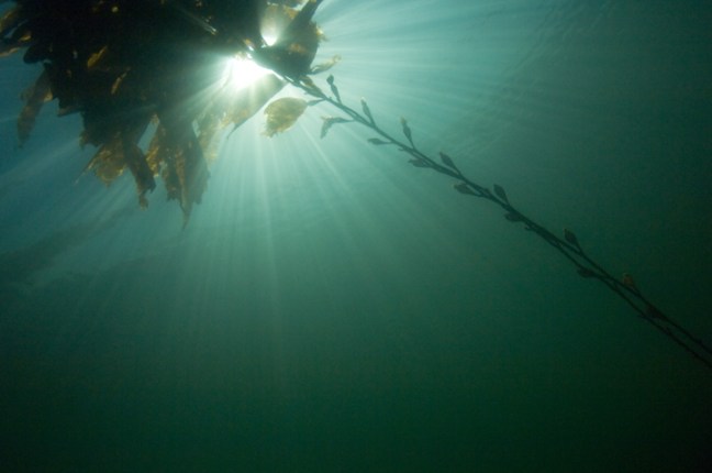 Michael Fuchs 031713 (3)