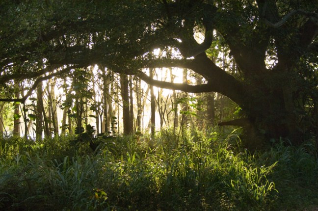 Michael Fuchs 031713 (5)