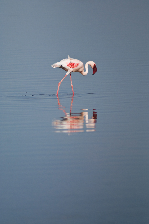 Michael Fuchs 032215 (3)