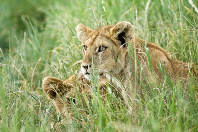 Michael Fuchs 032413