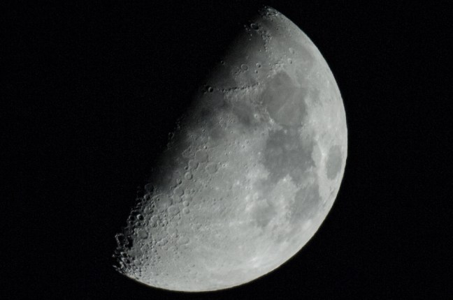 Michael Fuchs 032915