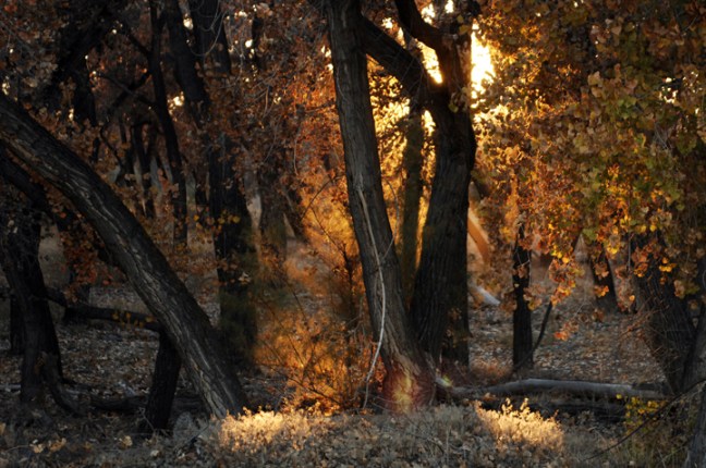 Michael Fuchs 033014 (5)