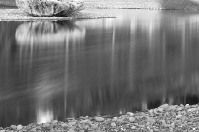 Michael Fuchs 033113 (3)