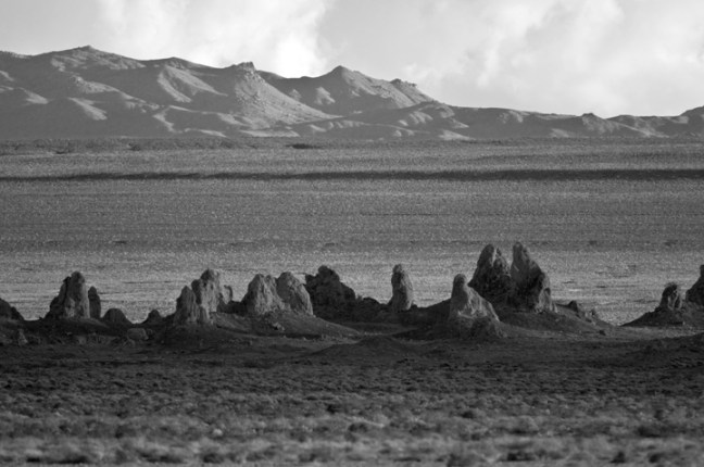 Michael Fuchs 033113 (4)