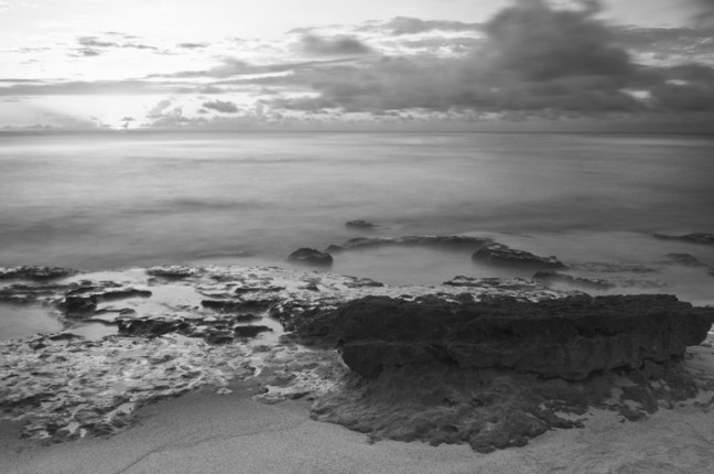 Michael Fuchs 033113 (5)