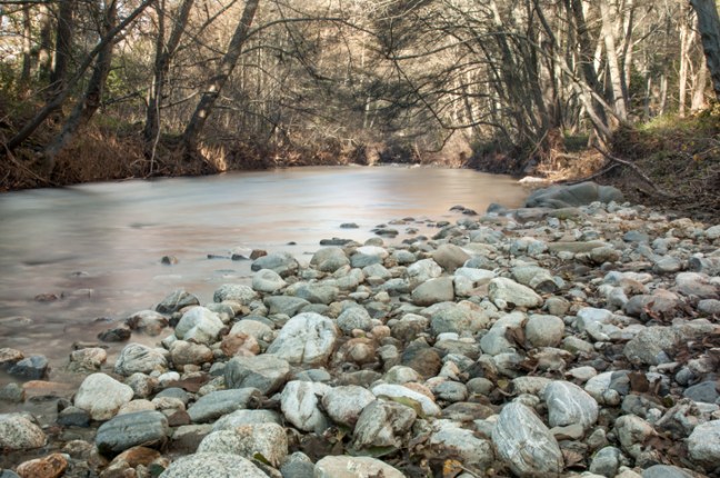 Michael Fuchs 040515 (1)