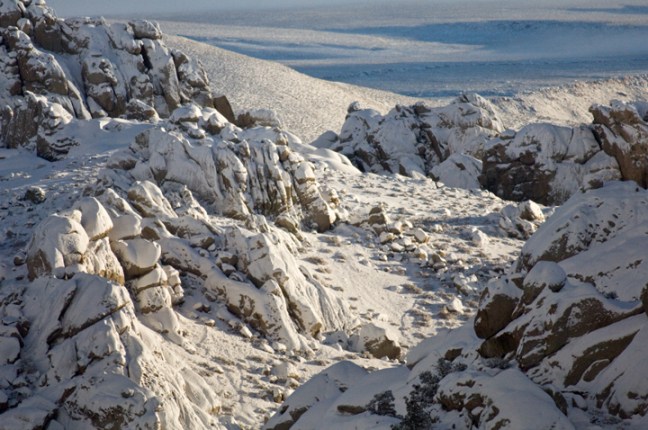 Michael Fuchs 040713 (4)