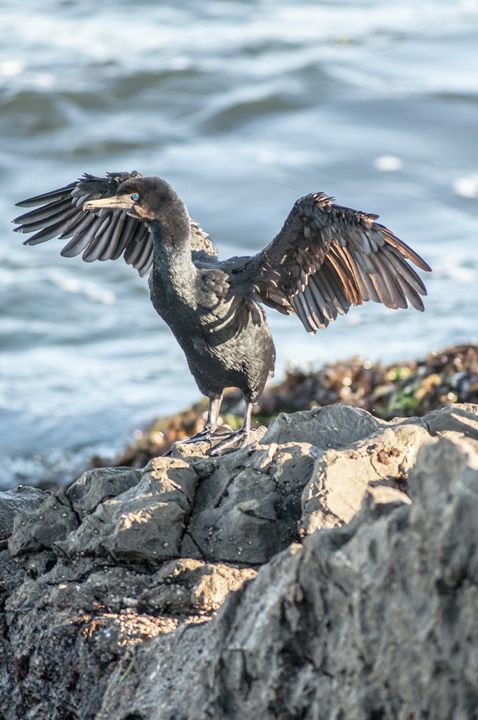 Michael Fuchs 041215 (3)