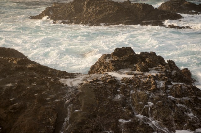 Michael Fuchs 041915 (3)